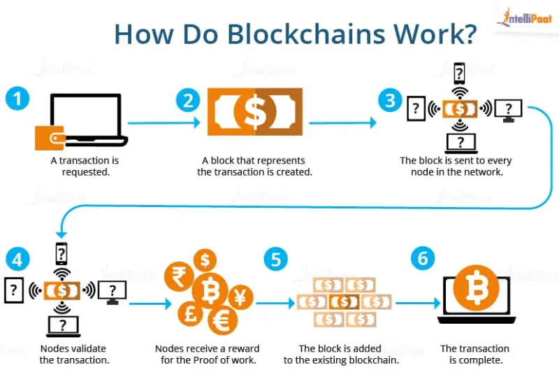 Chain Selection Is a Strategic Decision: Evaluating Today's Leading Blockchain Networks for Real-World Utility